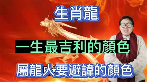 屬龍的顏色|2024龍年十二生肖幸運色公開！從流年運勢挑精品包。